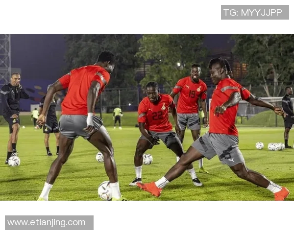 加纳球星在世界足球舞台上的辉煌历程与激情瞬间